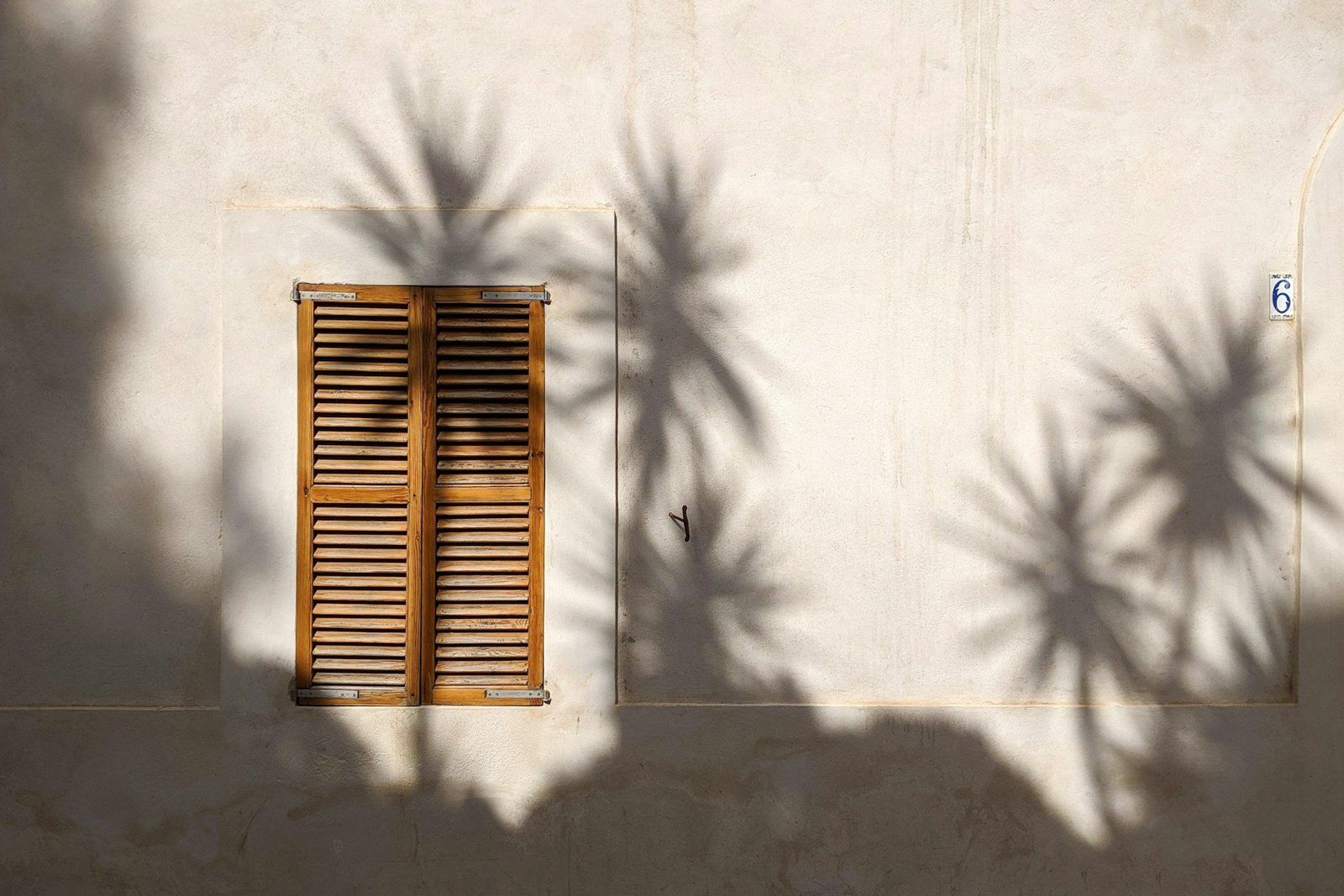 Contraventana de madera en una pared blanca con sombras de palmera